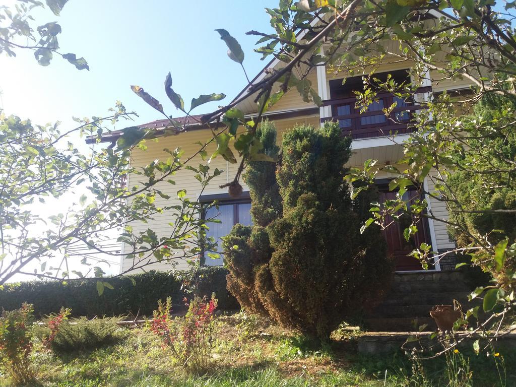 Вілла Casa Irina П'ятра-Нямц Екстер'єр фото